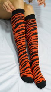 Women's Animal Kingdom Knee High Socks Set - Starseed Holistic Healing LLC