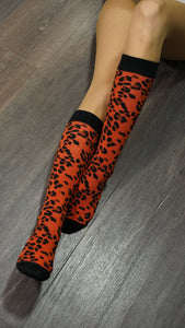 Women's Animal Kingdom Knee High Socks Set - Starseed Holistic Healing LLC