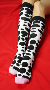Women's Animal Kingdom Knee High Socks Set - Starseed Holistic Healing LLC